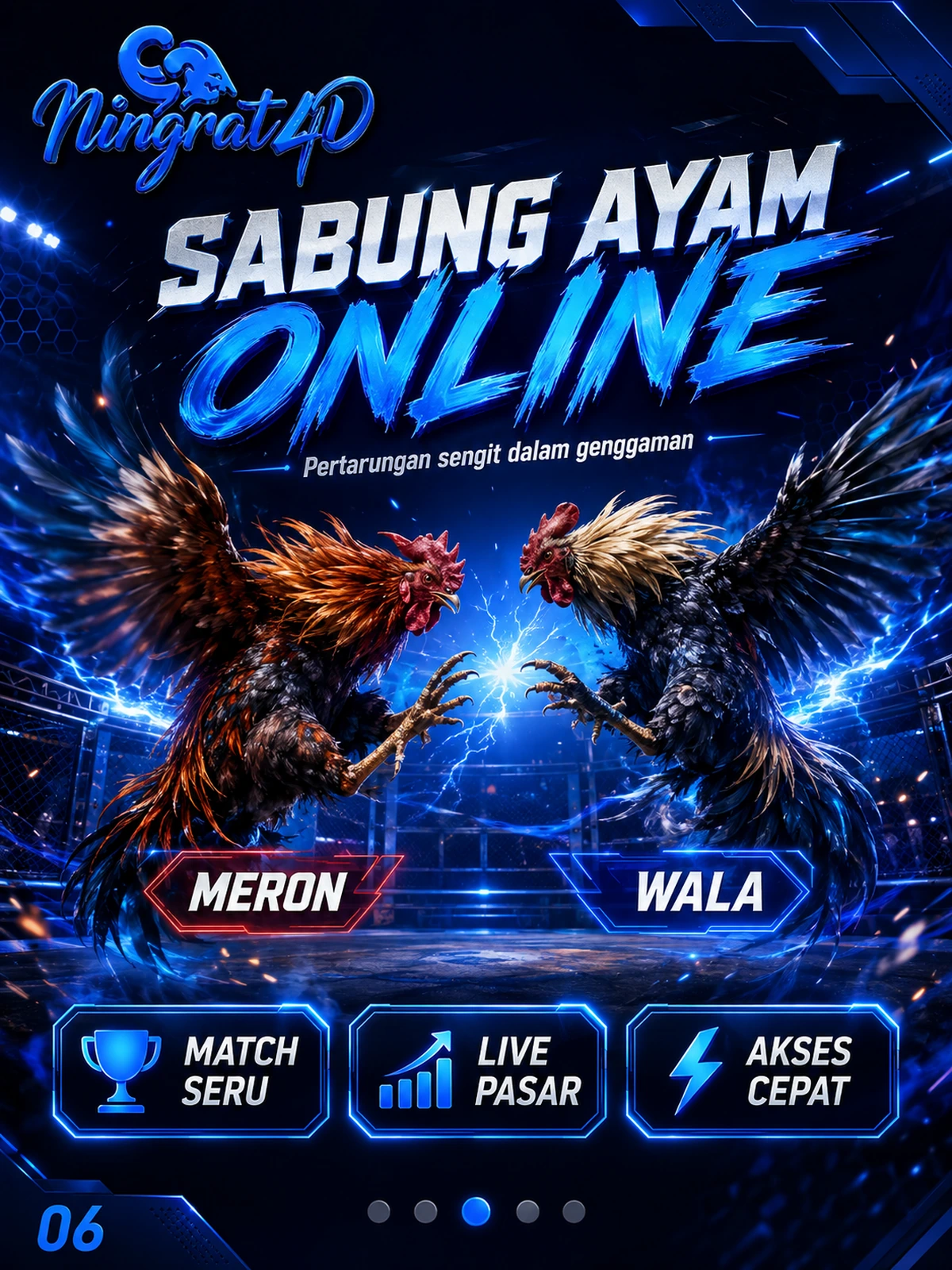 NINGRAT4D Sabung Ayam